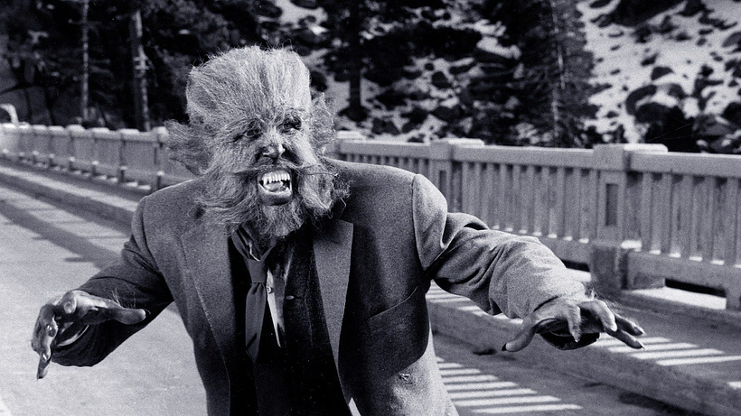 Imagen de Los Colmillos del Lobo