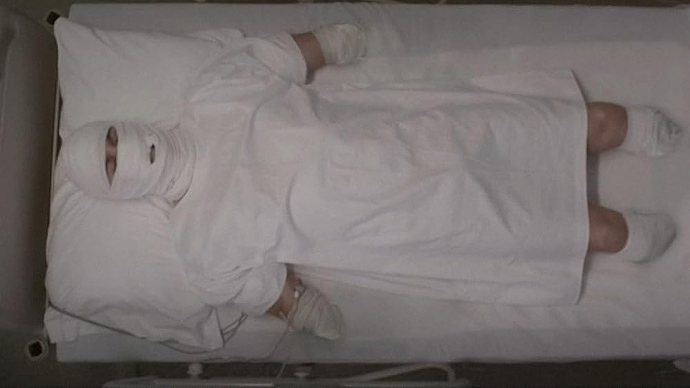 Imagen de starfish-2016