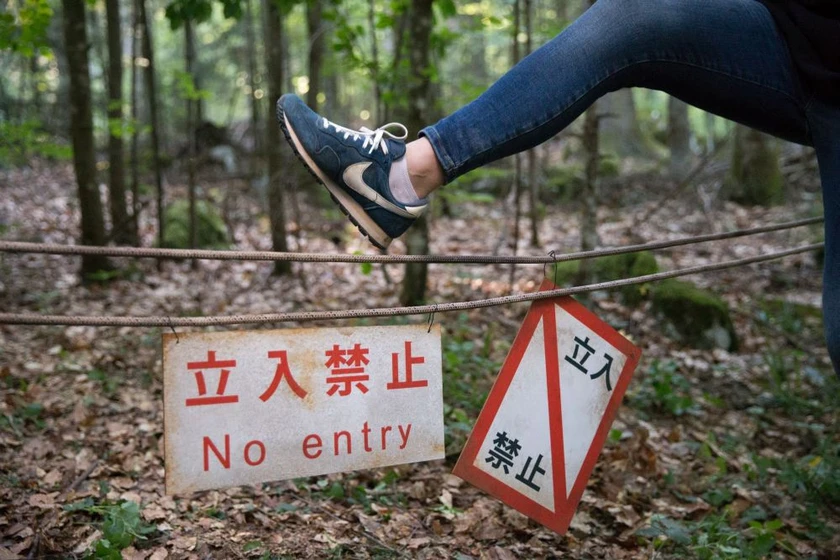 Imagen de el-bosque-de-los-suicidios