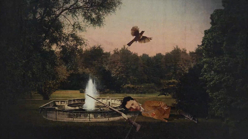 Imagen de Camille Saint-Saëns' The Carnival of the Animals