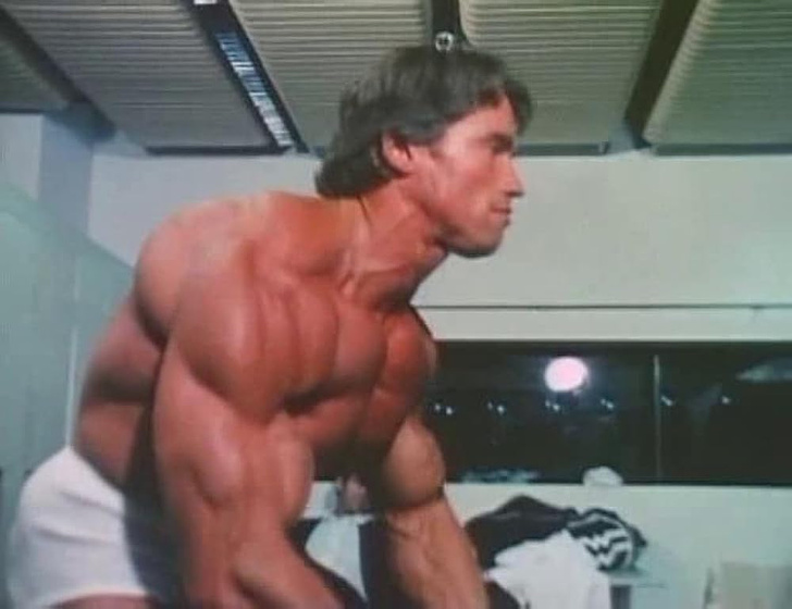 Arnold Schwarzenegger en The Comeback