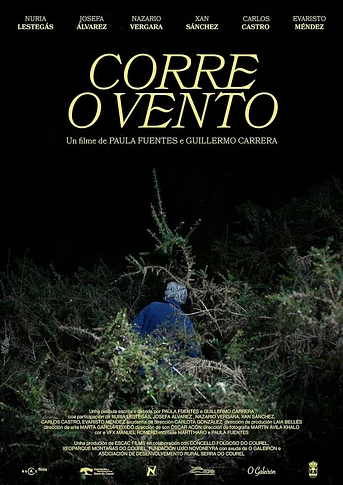 Poster de Wind Blows By