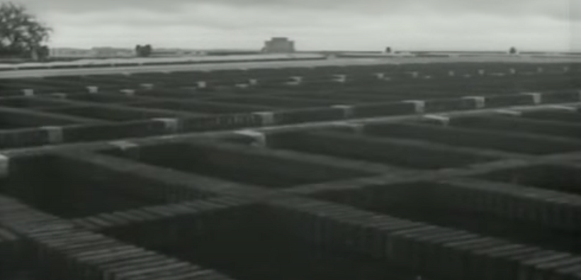 Imagen de Día de muertos