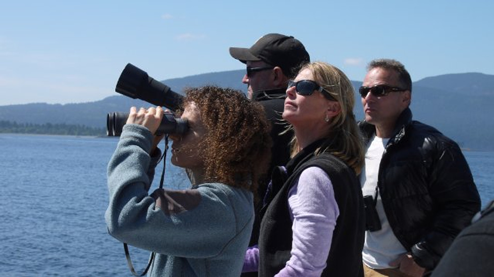 Imagen de Blackfish