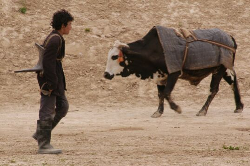 Imagen de El Caballo de dos piernas