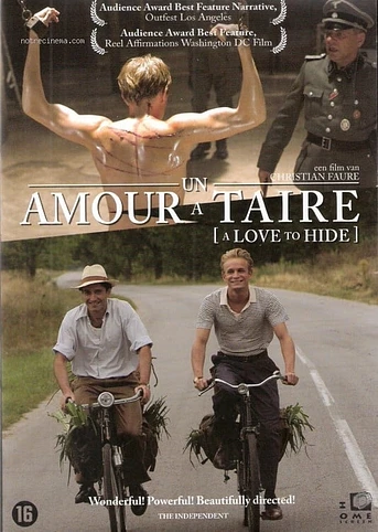 Poster de Un Amor por Ocultar