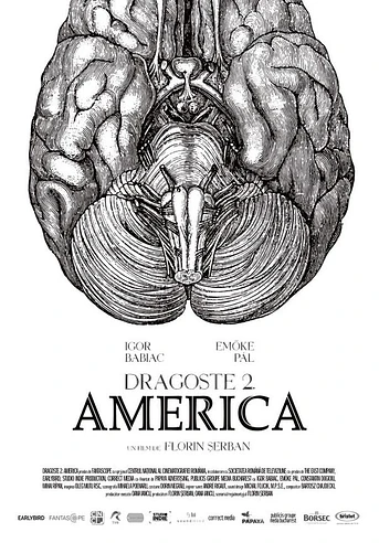 Poster de Love 2. America
