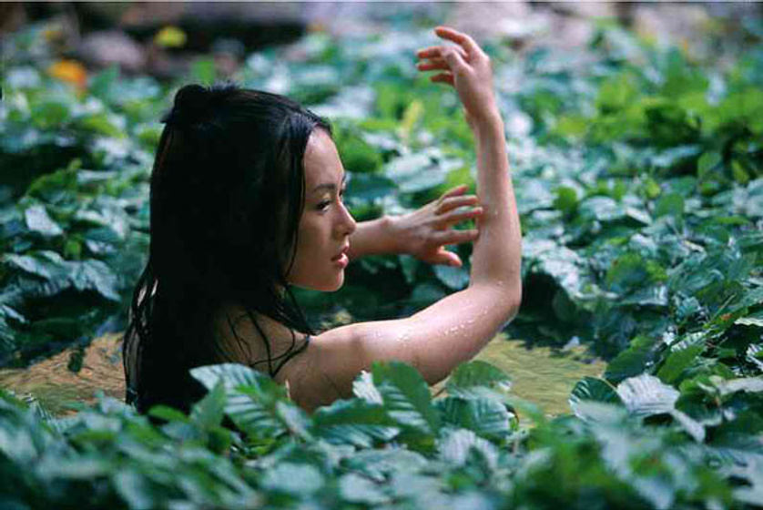 Ziyi Zhang en La Casa de las Dagas Voladoras