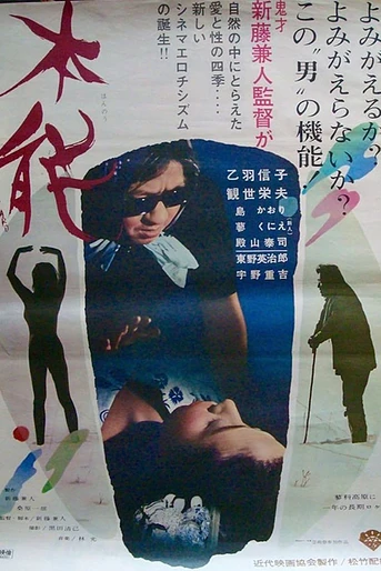 Poster de Lost Sex
