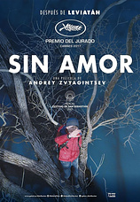 poster of movie Sin Amor