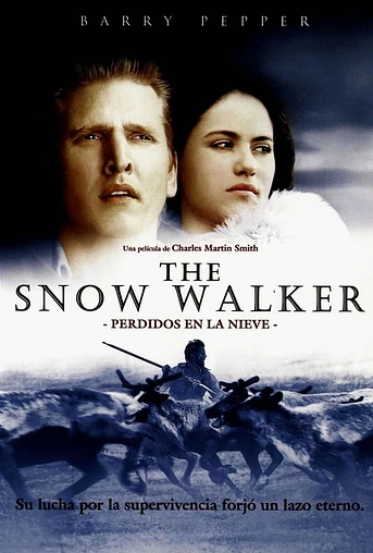 Poster de Perdidos en la nieve