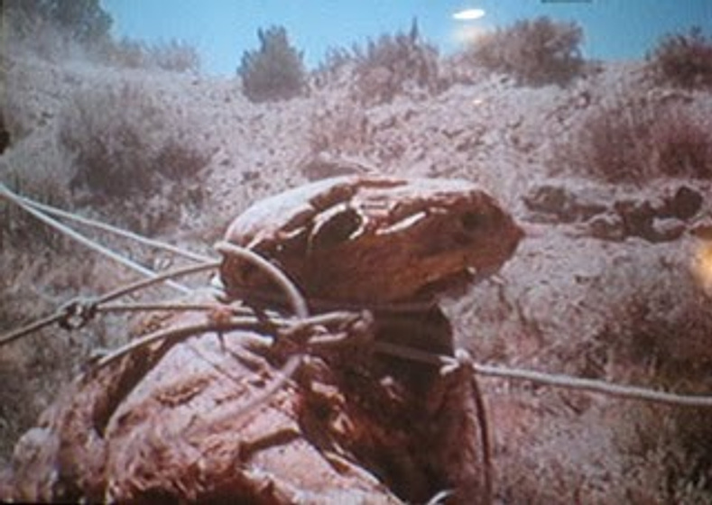 Imagen de Godmonster of Indian flats