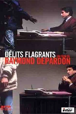 poster of movie Délits Flagrants