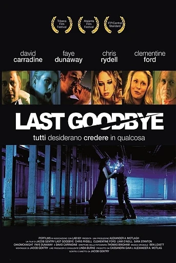 Poster de Last Goodbye