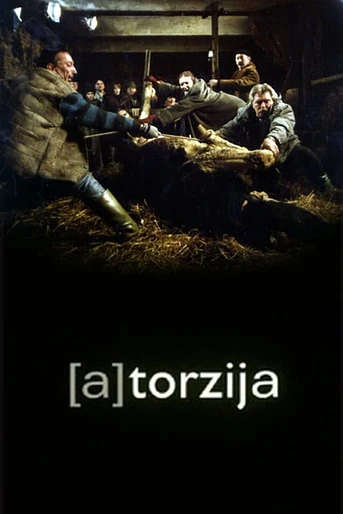 Poster de (A)Torsion