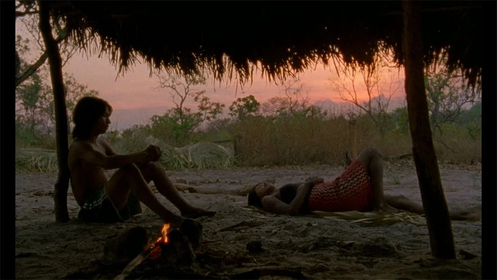 Imagen de el-canto-de-la-selva