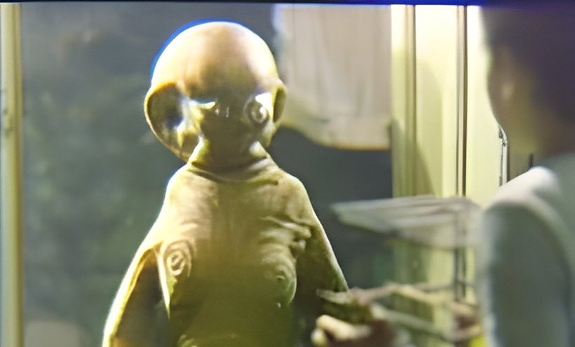 Imagen de Badi (E.T. turco)