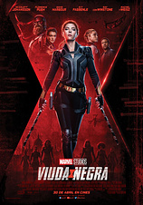 poster of movie Viuda Negra