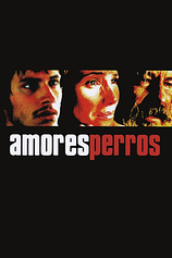 poster of movie Amores Perros