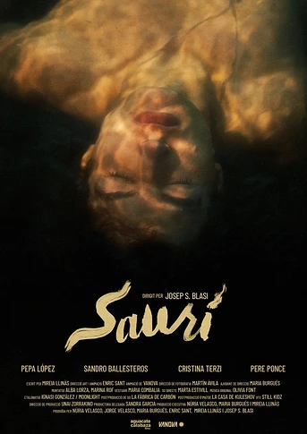 Poster de Saurí