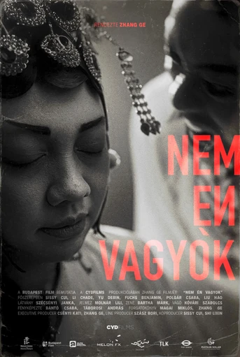 Poster de Nem én vagyok