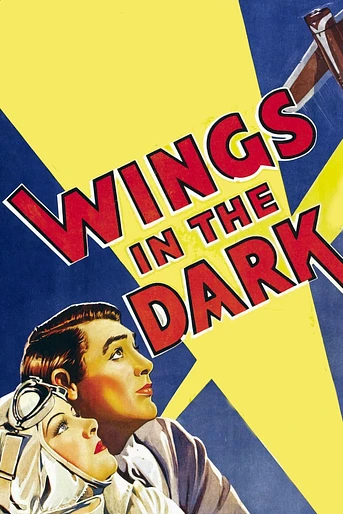 Poster de Alas en la Noche