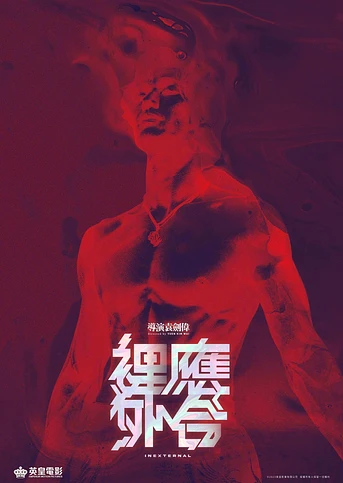 Poster de Inexternal