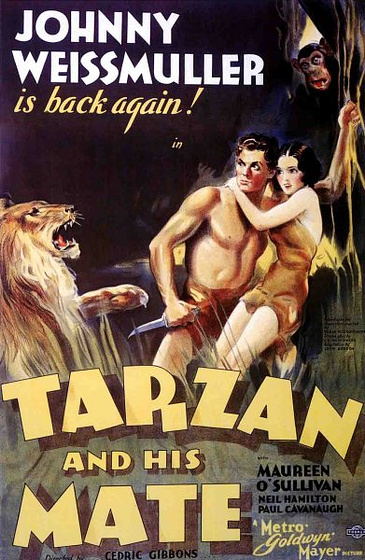 Imagen de Tarzán y su Compañera
