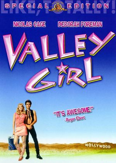 Imagen de La Chica del Valle (Carátula DVD)