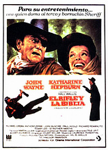 poster of movie El Rifle y la Biblia