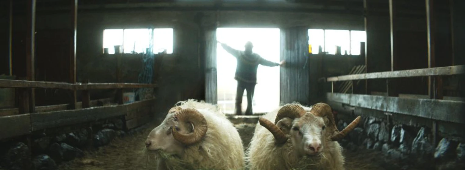 Imagen de rams-el-valle-de-los-carneros