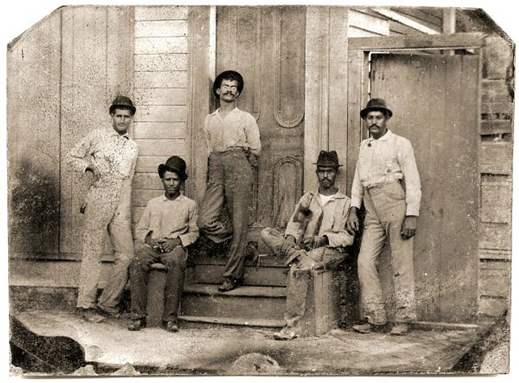 Imagen de Faubourg treme: The untold story of black New Orleans
