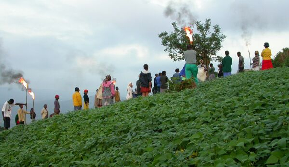 Imagen de 3 Agujas