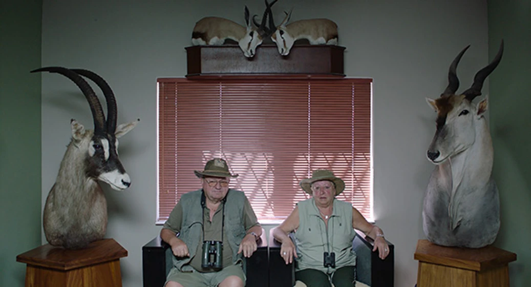 Imagen de safari