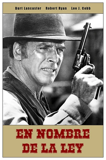 Poster de En nombre de la ley