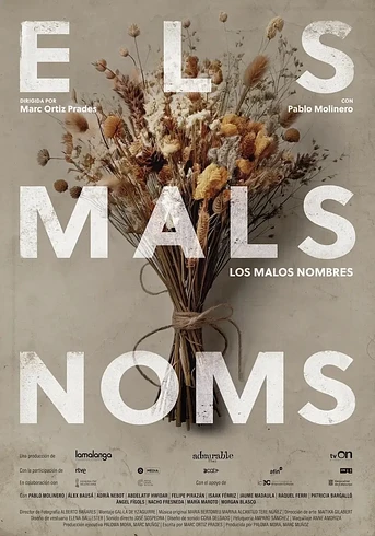 Poster de Els Mals Noms
