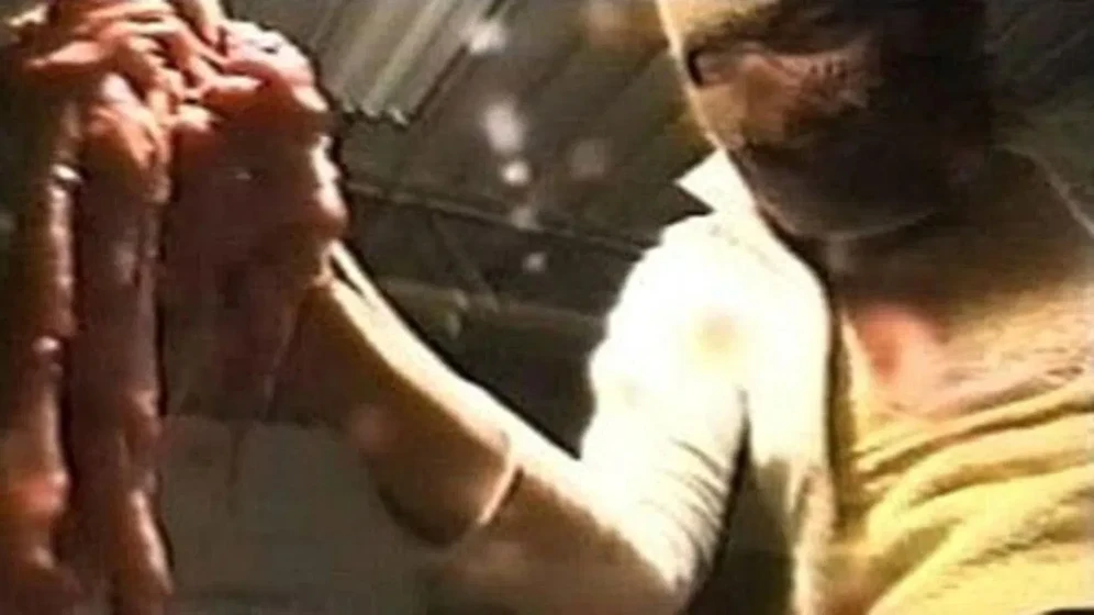Imagen de celluloid-nightmares