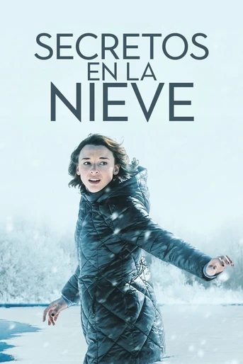 Poster de Secretos en la Nieve