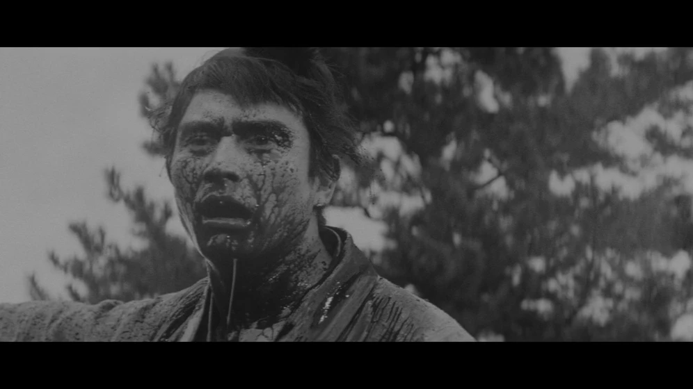 Ryohei Uchida en samurai-wolf