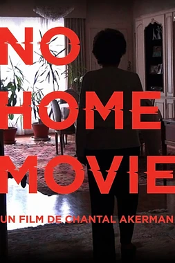 poster of movie No home movie