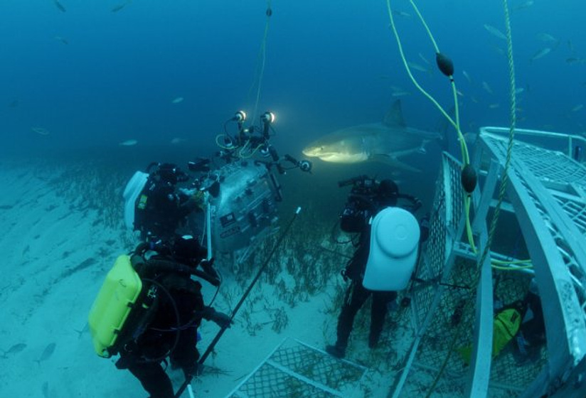 Imagen de Under the Sea 3D