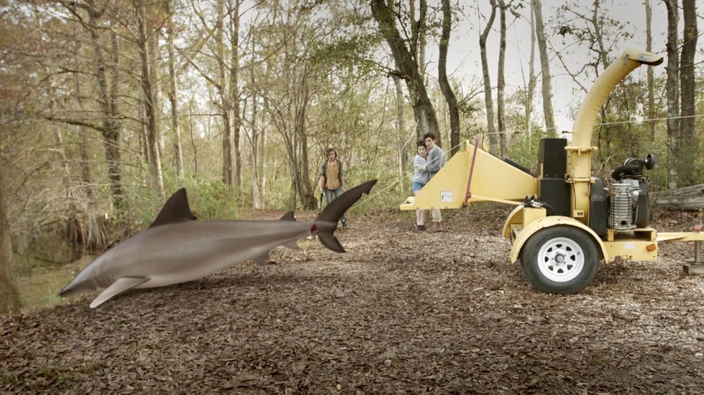 Imagen de ozark-sharks