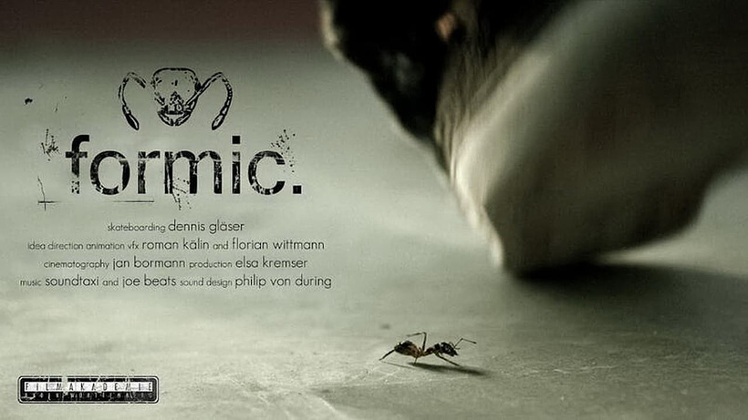 Imagen de Hormiga