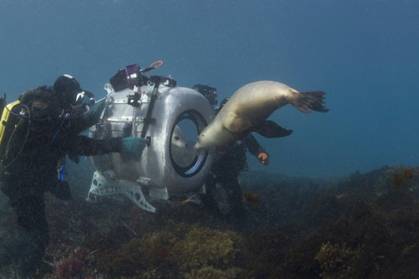 Imagen de Under the Sea 3D