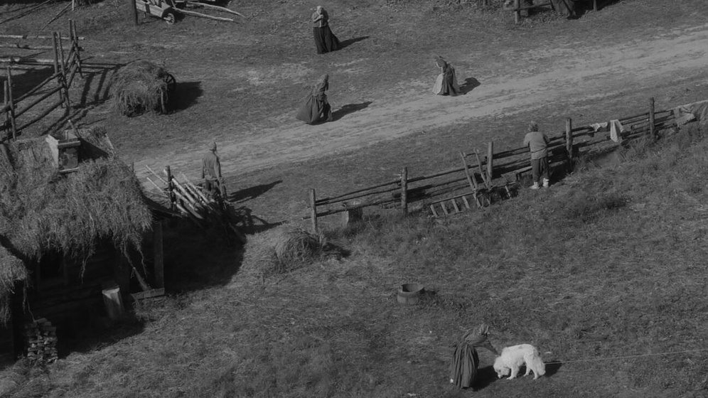 Imagen de On This Land