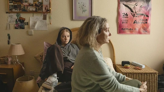 image of Palmarés del 29 Festival de Málaga