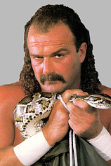 photo of person Jake Roberts