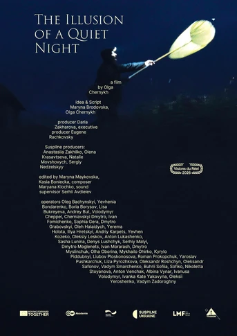 Poster de The Illusion of a Quiet Night