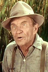 picture of actor William Fawcett