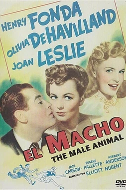 The Male Animal